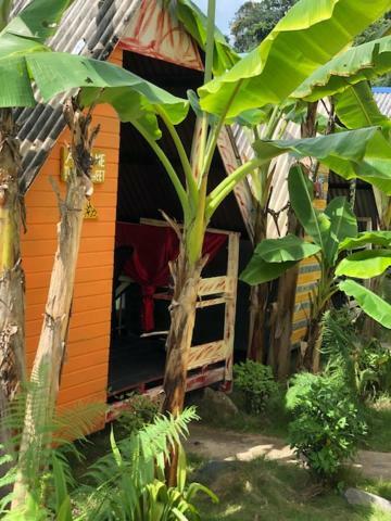Beach Shack Chalet - Garden View Aframe Small Unit Kampong Juara Eksteriør bilde
